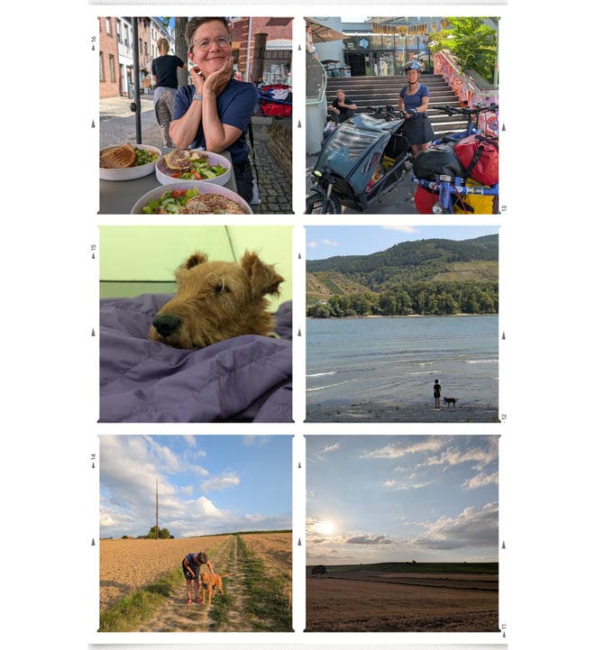 Die Collage zeigt sechs Fotos: Oben links ist eine Frau an einem Tisch mit mehreren bunten Gerichten in einer Altstadt zu sehen. Rechts daneben steht die Frau mit Helm und zwei vollbelade Fahrräder vor einer breiten Treppe. In der Mitte links liegt ein brauner Hund gemütlich iim Schlafsack. Von ihm ist nur der Kopf zu sehen. Rechts stehen eine Person und ein Hund am flachen Ufer eines großen Flusses mit Weinbergen im Hintergrund. Unten links gehen eine Person und ein Hund auf einem Weg durch goldene Felder und auf dem letzten Foto unten rechts ist eine weite, abendliche Landschaft mit Feldern und Wolkenhimmel abgebildet.