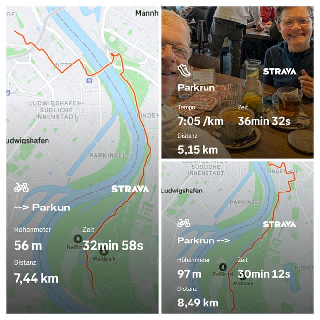 Collage von drei Strava-Aktivitäten rund um Ludwigshafen und Mannheim: Links eine Fahrradroute von 7,44 km mit 56 Höhenmetern in 32 Minuten 58 Sekunden und einer Karte der Strecke entlang des Rheins. Rechts oben ein Foto von zwei Personen, die beim Frühstück sitzen, daneben Strava-Statistik eines Parkruns (5,15 km in 36 Minuten 32 Sekunden, 7:05 min/km). Rechts unten eine zweite Fahrradroute, diesmal 8,49 km mit 97 Höhenmetern in 30 Minuten 12 Sekunden, ebenfalls auf einer Karte entlang des Rheins