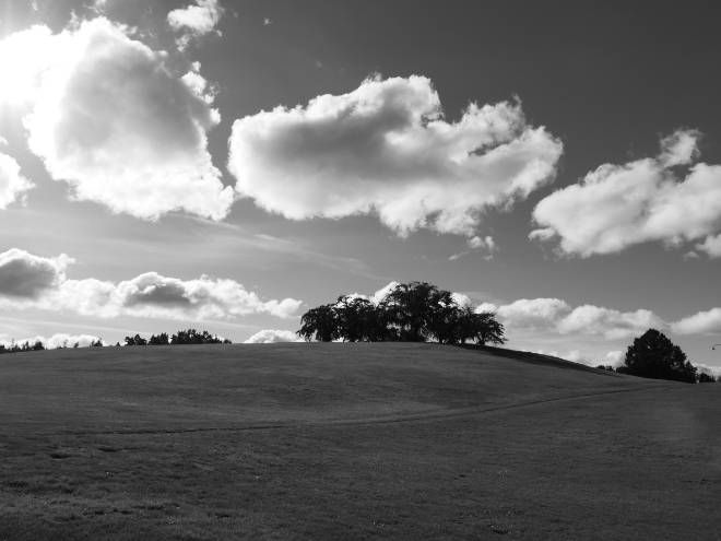 Ein sanfter Hügel erstreckt sich in einer offenen Landschaft, bedeckt mit kurz geschnittenem Gras. Auf dem Hügel steht eine kleine Gruppe von Bäumen, während am Himmel große, weiße Wolken vorbeiziehen und das Sonnenlicht die Szene teilweise erhellt. Das Bild ist in Schwarzweiß gehalten und wirkt ruhig und weitläufig.