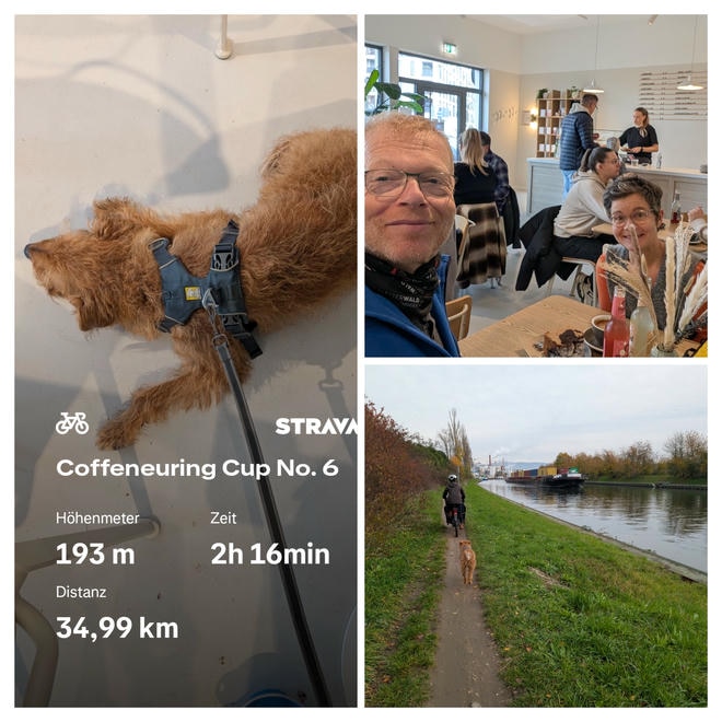 Das Bild ist eine Collage aus drei Fotos, die eine Fahrradtour mit Hund und Cafébesuch dokumentieren. Links sieht man einen braunen Hund mit Geschirr, der auf dem Café-Boden liegt; darüber sind Statistiken von Strava eingeblendet: „Coffeeneuring Cup No. 6“, 193 Höhenmeter, 2h 16min Fahrzeit und 34,99 km Distanz. Rechts oben sitzen Menschen in einem Café am Tisch, Getränke und Kuchen sind zu sehen. Rechts unten fährt eine Person mit dem Fahrrad am Ufer eines Kanals entlang, der Hund läuft auf dem grasigen Weg hinterher; im Hintergrund ist ein Schiff auf dem Kanal zu erkennen.