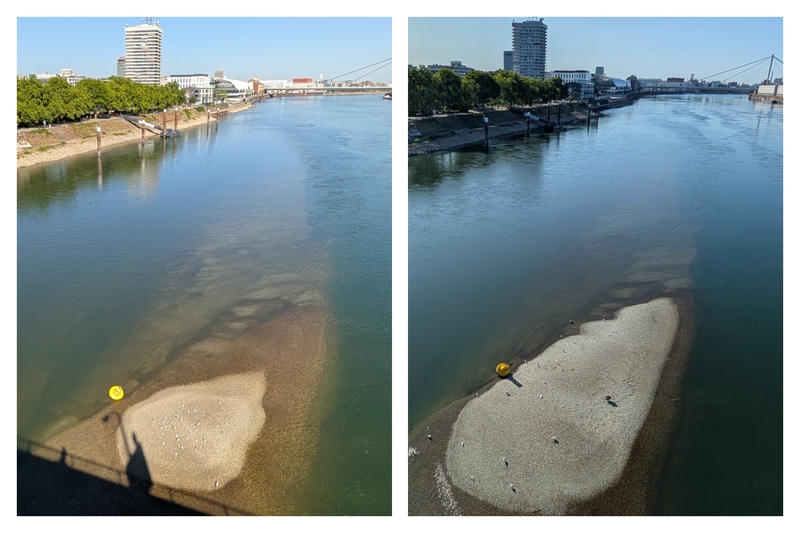 Blick von der Konrad Adenauer-Brücke auf den Rhein bei niedrigem Wasserstand: Im Vordergrund ragt eine helle Kiesbank mit Möwen aus dem Wasser, daneben eine gelbe Boje, im Hintergrund das Ufer von Ludwigshafen mit Bäumen und Gebäuden, ein Hochhaus und die Kurt Schuhmacher-Brücke unter blauem Himmel. Die Szene wurde zweimal im Abstand von 3 Tagen fotografiert, links ist die Insel im Rhein noch kleiner als rechts.