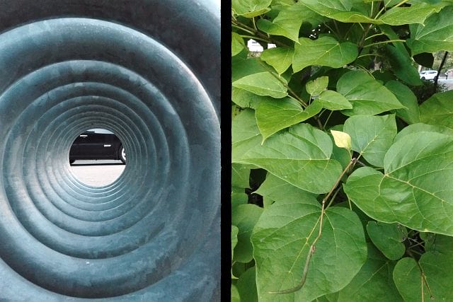 Geteiltes Bild: links ein spiralförmiges, graues Metallobjekt mit Blick durch die Öffnung (eigentlich ein Fahrradständer), rechts dichtes grünes Blattwerk.