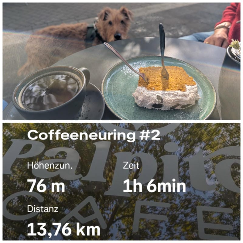 Oberer Teil: Bei Sonnenschein vor dem Palpito Café: schwarzer Kaffee und ein Stück Kürbiskuchen mit Creme auf einem Tisch, ein wuscheliger Terrier schaut in die Kamera. Unten die Statistik der Tour: „Coffeeneuring #2", 13,76 km, 1 h 6 min, 76 m Höhenzunahme.
